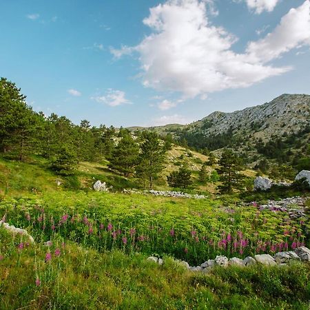 Apartman Magdalena Apartment Makarska Bagian luar foto