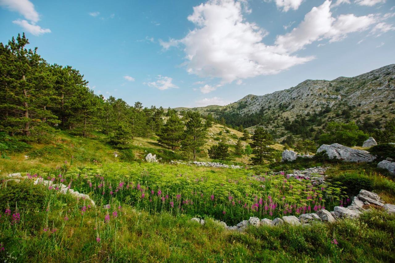 Apartman Magdalena Apartment Makarska Bagian luar foto